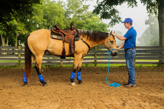 Tying A Horse In The Trailer