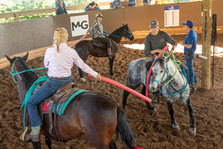 Desensitizing Your Horse With A Pool Noodle