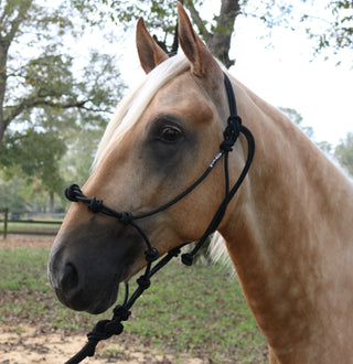 Fitting The MG Halter