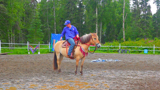 Button Using Your Hands On The Reins