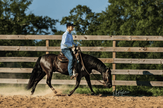 Finding Your Seat: Achieving Stabilization in the Saddle