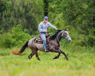 How to Slow Your Horse in an Open Field