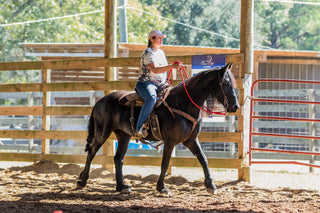 Intro To Neck Reining