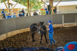 Garrocha Pole Horseback: Mastering Horse Training with the Garage Stick