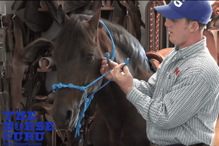 MG Halter (Tying The Knot)