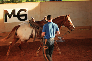 Neck Reining Part 1