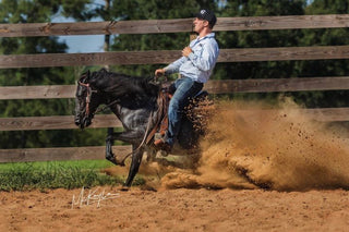 Preparing Your Horse for Success in the Show Ring