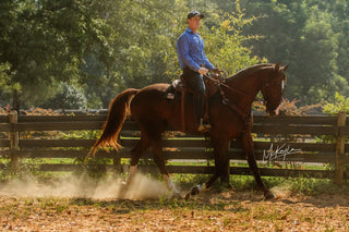 Mastering Spirals: Training a Greener Horse