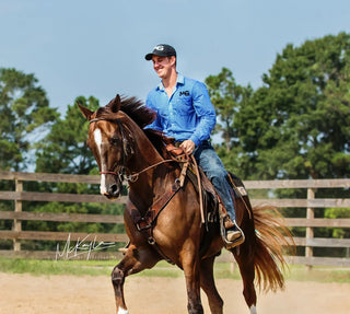 Mastering Horsemanship: A Journey of Learning and Sensitivity