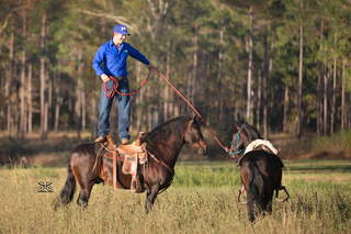 Ponying A Horse