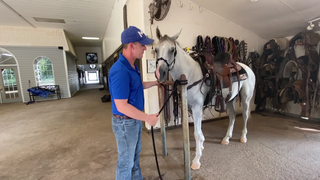 Tying To A Hitching Post