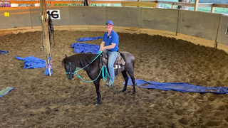 Speed Transitions On Your Gaited Horse