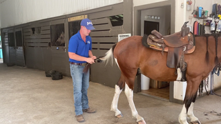 Braiding The Tail For Riding