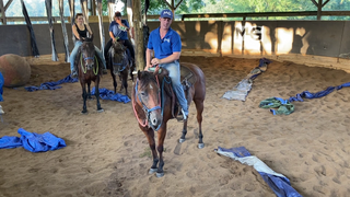 Halter Under Bridle