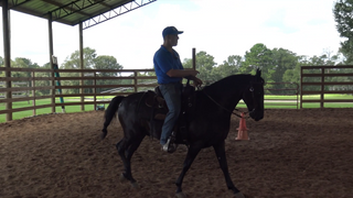 Western Pleasure On A Gaited Horse