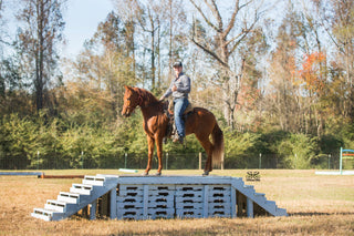 Crossing A Bridge With A Horse