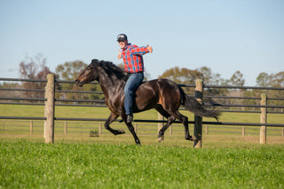 How to Handle a Resistant Horse: Flexing in Motion