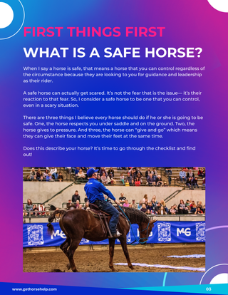 Horse Safety Checklist